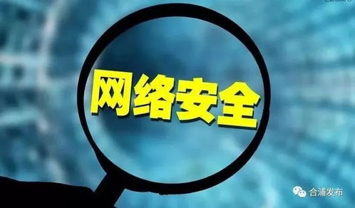 网络与信息安全软件开发手册 构建数字世界的坚固防线